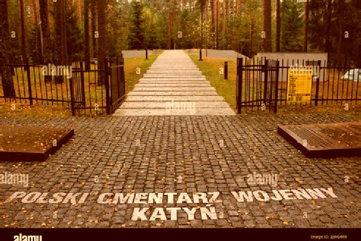 Elizabeth, 30 — Escort in Katyn , Russia