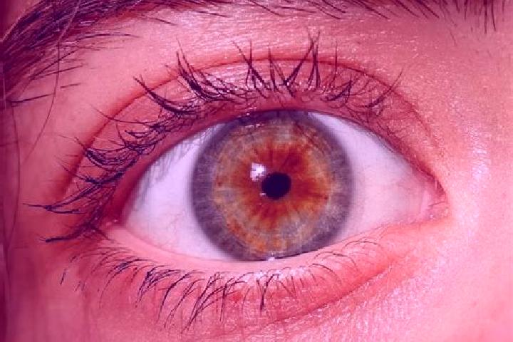 Elizabeth, 32, a red hazel-eyed caucasian companion based in Kerkdriel. Offering Deep French Kissing, Tantra, Overnight, A-Level. Available for incall and ou...