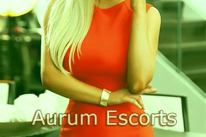 Elizabeth, 33, a blonde dark-eyed caribbean companion based in Riudecols. Offering Fetish, Couples, A-Level, 69, Party Girl. Available for incall and outcall...