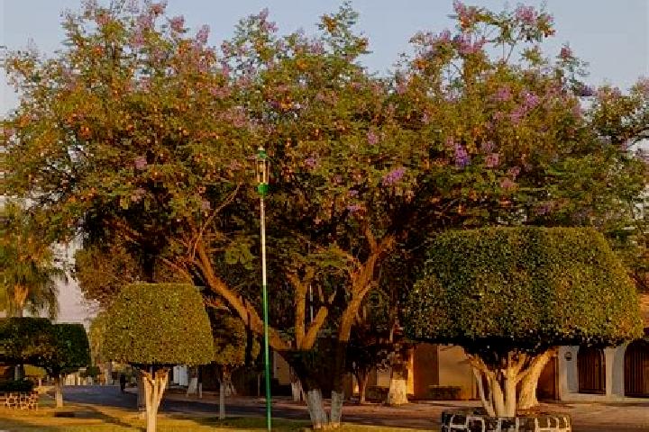 Elizabeth, 33 — Escort in Jacarandas, Mexico