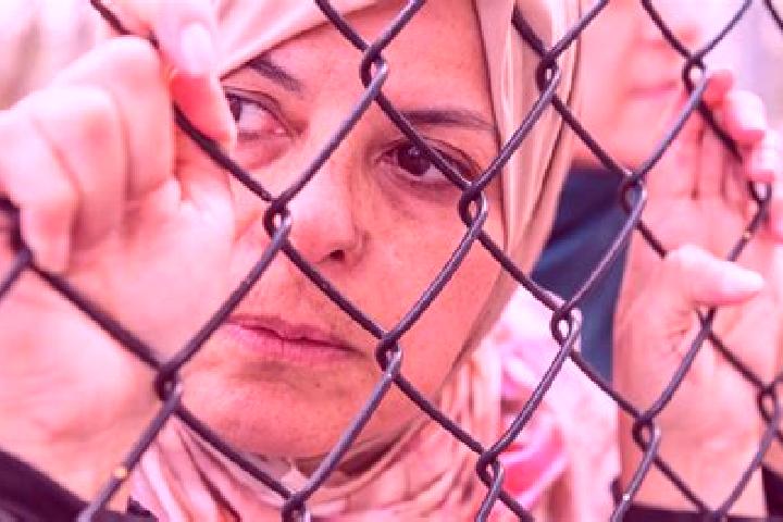 Elizabeth, 33 — Escort in Zif, Palestine