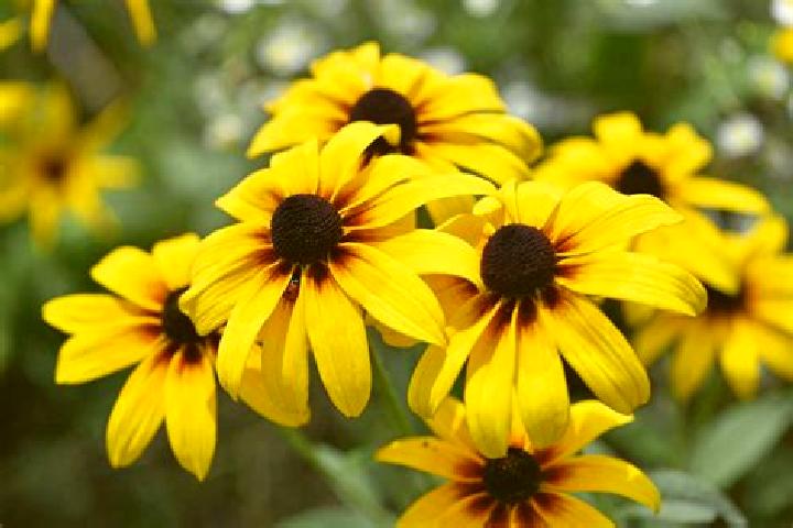 Elizabeth, 34, a black blue-eyed caribbean companion based in Colmworth. Offering Domination, Couples, GFE, CIM. Available for incall and outcall, day and ev...