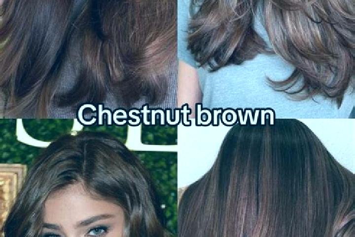 Elizabeth, 34, a chestnut brown-eyed mixed companion based in Bertinoro. Offering GFE, Duos, Tantra. Available for incall and outcall, overnight bookings ava...