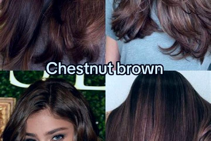 Elizabeth, 34, a chestnut dark-eyed caucasian companion based in Taarstedt. Offering 69, Massage, Roleplay. Available for incall and outcall, day and evening...