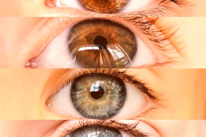 Elizabeth, 34, a chestnut dark-eyed mixed companion based in Pidie. Offering Striptease, Roleplay, Tantra, 69. Available for incall and outcall, overnight bo...