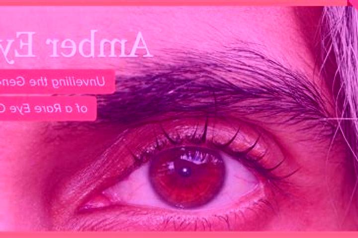 Elizabeth, 34, a red amber-eyed ebony companion based in Kalibaru Kulon. Offering BDSM, Erotic Massage, Party Girl. Available for incall and outcall, day and...