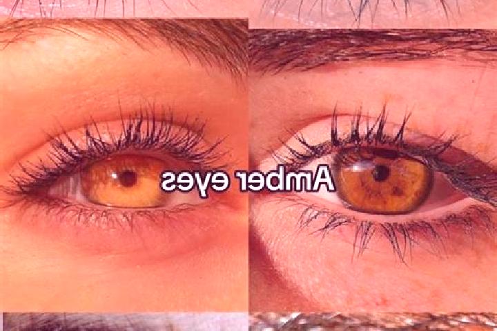 Elizabeth, 35, a chestnut amber-eyed middle eastern companion based in Calvignano. Offering GFE, Deep French Kissing, Overnight, Striptease. Available for in...