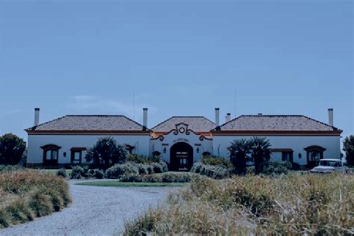 Elizabeth, 36 — Escort in La Estancia de Amezcua, Mexico