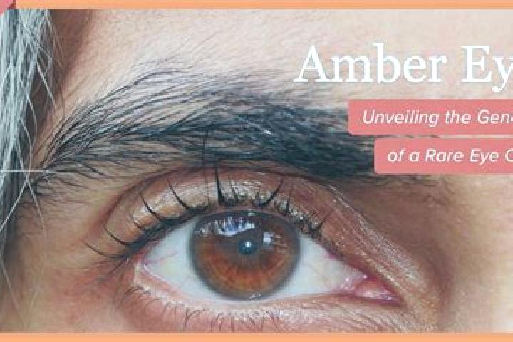 Elizabeth, 37, a red amber-eyed middle eastern companion based in Zawit Al Bour. Offering Tantra, 69, Fetish. Available for incall and outcall, overnight boo...