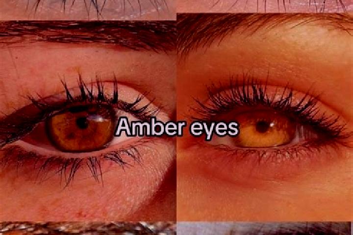 Ella, 20, a brunette amber-eyed middle eastern companion based in Zarach. Offering Girlfriend Experience, Couples, Domination, Roleplay, 69. Available for in...