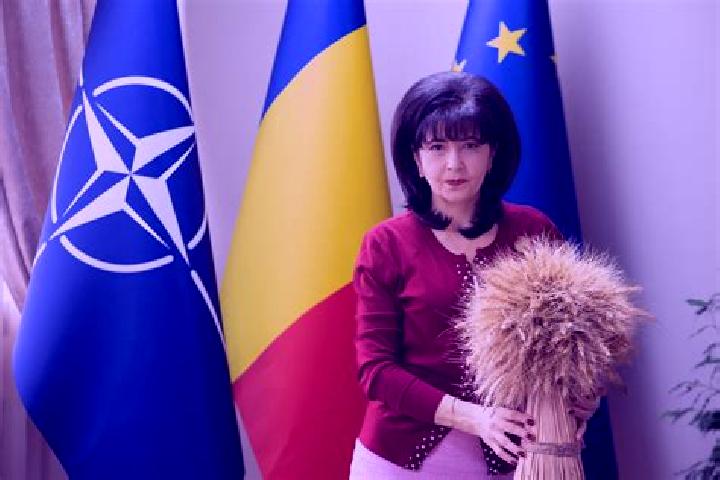 Ella, 20 — Escort in Dobarceni, Romania