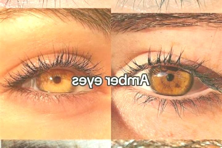Ella, 22, a chestnut amber-eyed middle eastern companion based in Castletownbere. Offering GFE, A-Level, Prostate Massage, Girlfriend Experience. Available f...