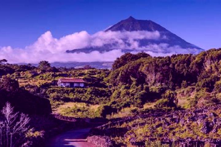 Ella, 22 — Escort in Sao Roque do Pico, Portugal