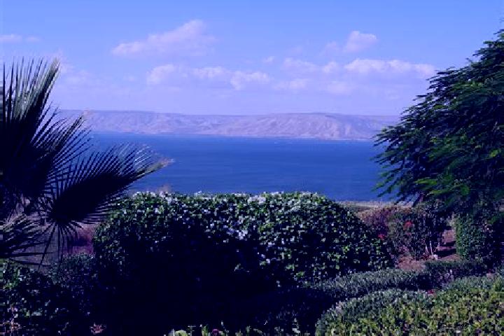 Ella, 24 — Escort in Tiberias, Israel