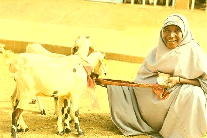 Ella, 25 — Escort in Bagaroua, Niger