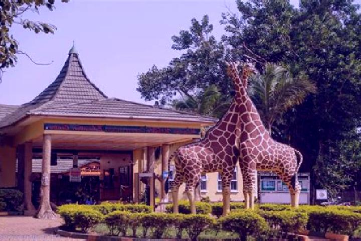 Ella, 25 — Escort in Entebbe, Uganda