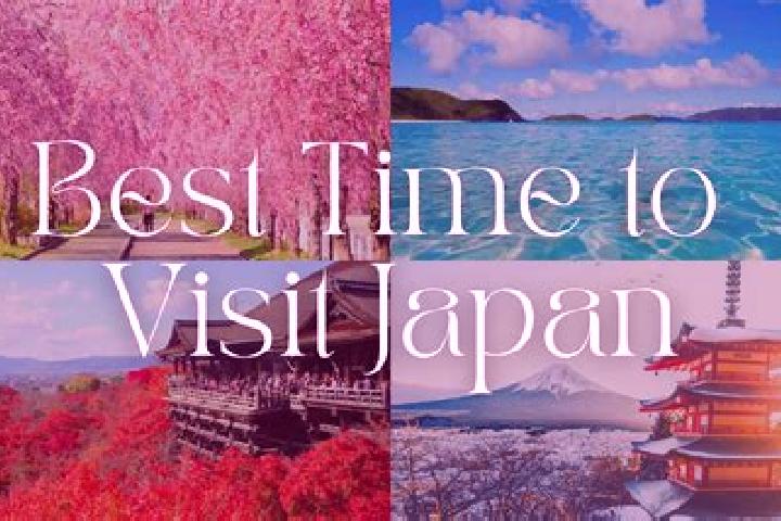 Ella, 25 — Escort in Mochibaru, Japan