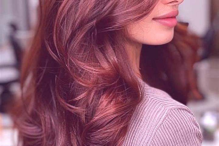 Ella, 26, a auburn brown-eyed indian companion based in Merschbach. Offering Erotic Massage, A-Level, Tantra, 69, GFE. Available for incall and outcall, over...