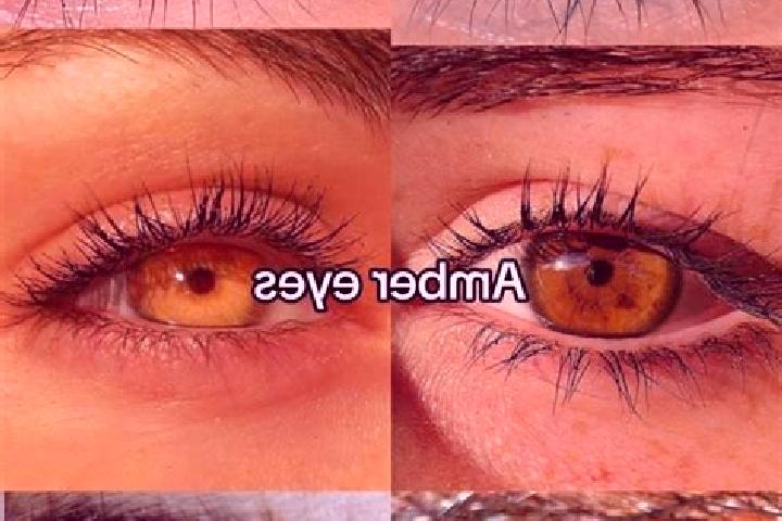 Ella, 27, a chestnut amber-eyed ebony companion based in Barnizal. Offering Tantra, Duos, Girlfriend Experience, Travel Companion. Available for incall and o...