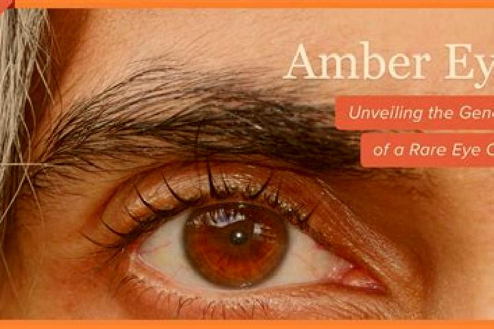 Ella, 27, a red amber-eyed caribbean companion based in Krida. Offering Dinner Date, 69, OWO, Fetish. Available for incall and outcall, overnight bookings av...