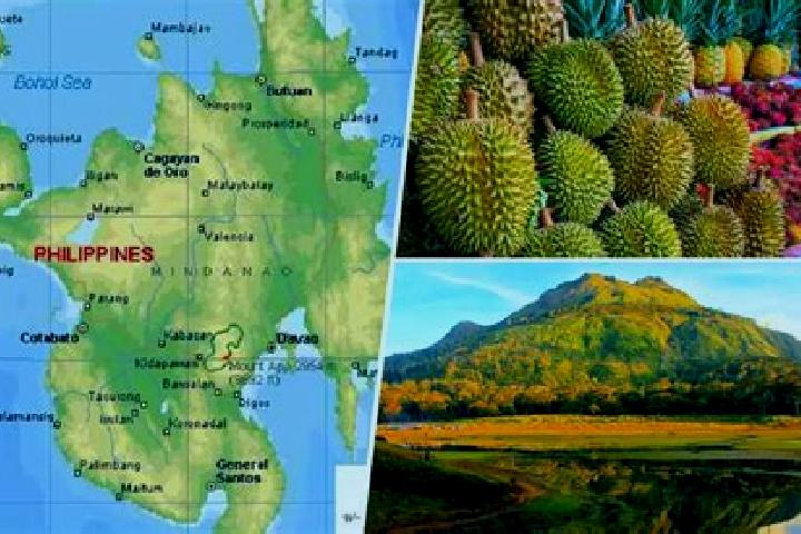 Ella, 30 — Escort in Can-asujan, Philippines