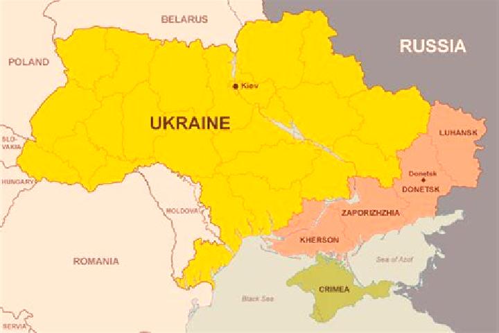 Ella, 30 — Escort in Novozhukiv, Ukraine