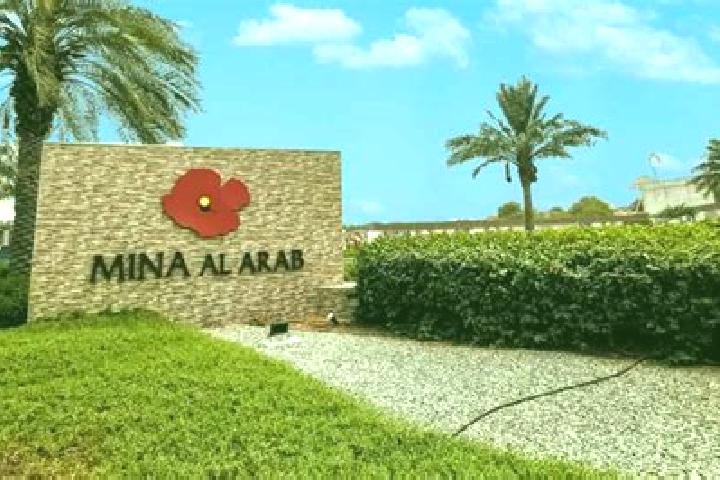 Ella, 33 — Escort in Al Rashaydeh, Palestine
