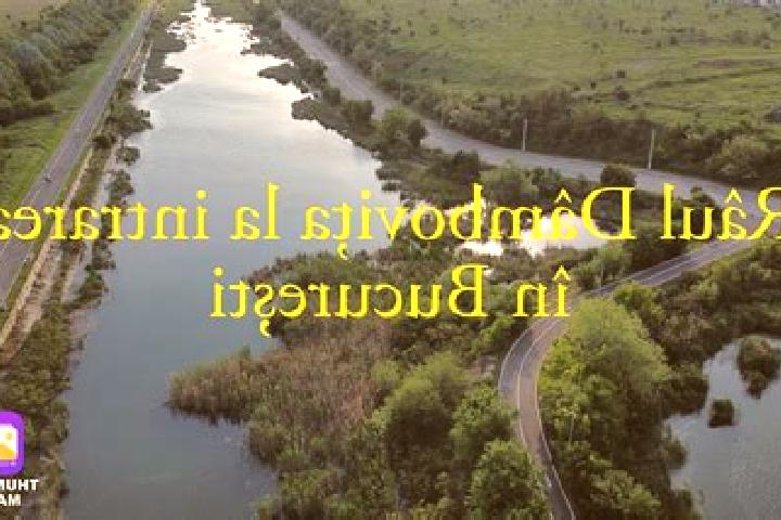 Ella, 34 — Escort in Rau Alb de Sus, Romania