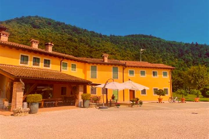 Ella, 35 — Escort in Villaurbana, Italy