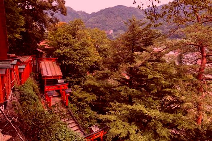 Ella, 35 — Escort in Yakumo, Japan