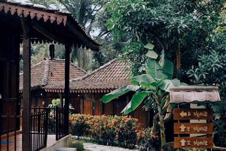 Ella, 37 — Escort in Karangrejo, Indonesia