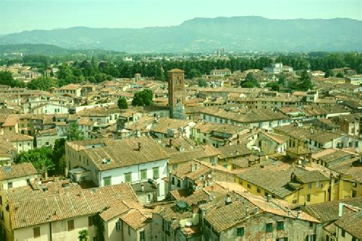 Ella, 37 — Escort in Lucca Sicula, Italy