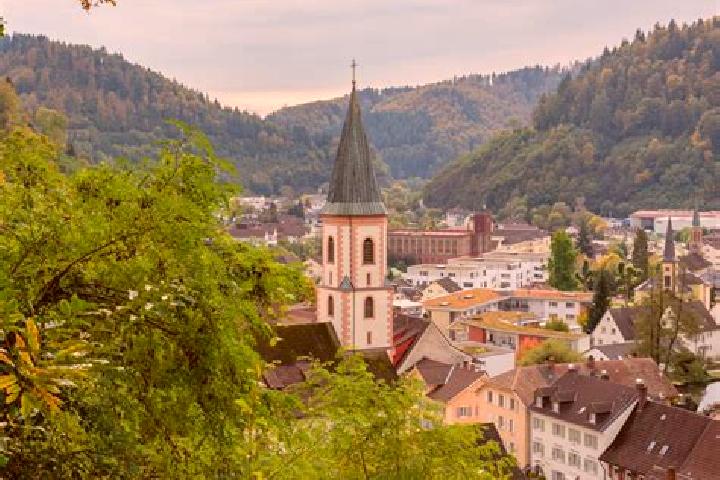 Ella, 37 — Escort in Zell im Wiesental, Germany