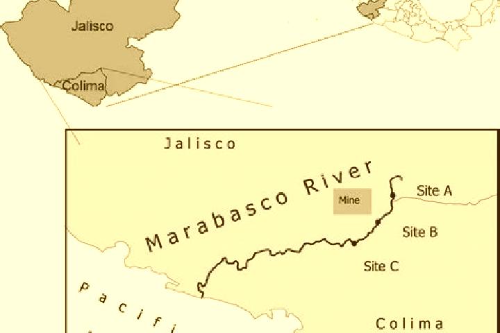 Ella, 39 — Escort in Rio Marabasco, Mexico