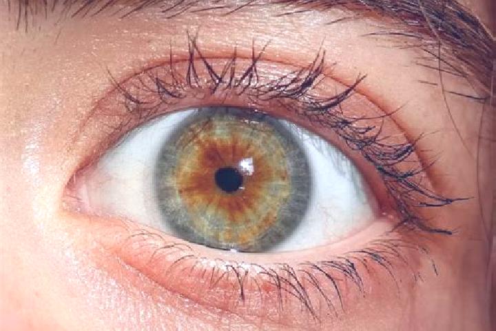 Ellie, 20, a red hazel-eyed indian companion based in Frolovo. Offering Roleplay, GFE, Fetish. Available for incall and outcall, overnight bookings available.