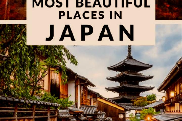 Ellie, 20 — Escort in Miyoshidai, Japan