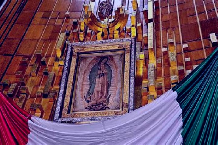Ellie, 21 — Escort in Guadalupe Mano de Leon, Mexico