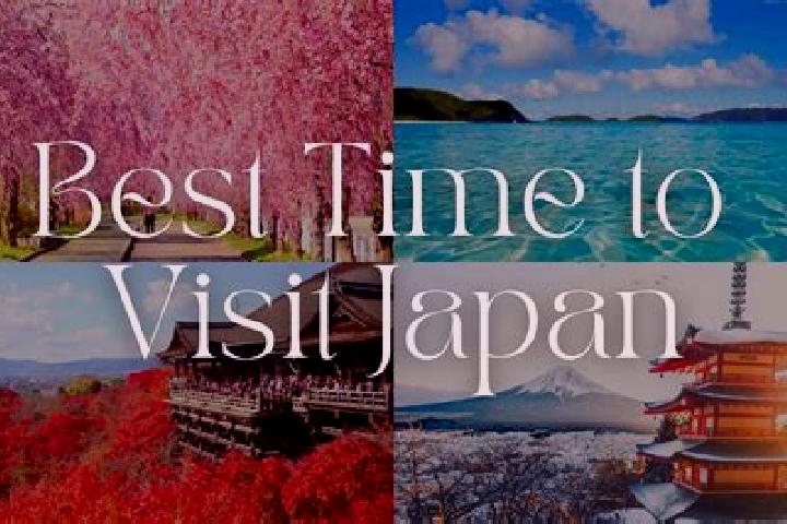 Ellie, 21 — Escort in Ibi, Japan