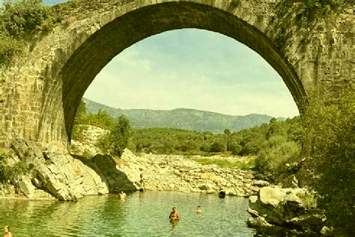 Ellie, 23 — Escort in Madrigal del Monte, Spain