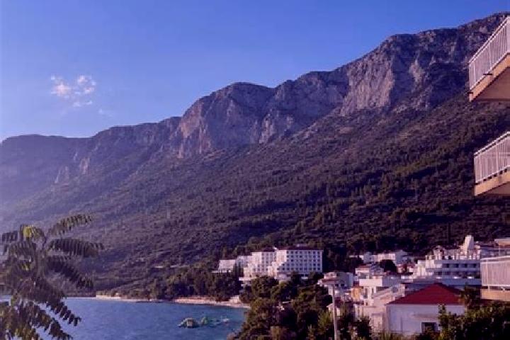 Ellie, 25 — Escort in Stari Gradac, Croatia