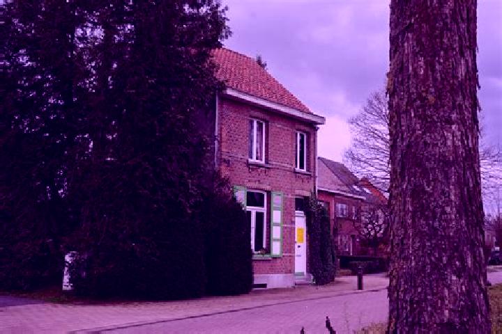 Ellie, 25 — Escort in Vroenhoven, Belgium