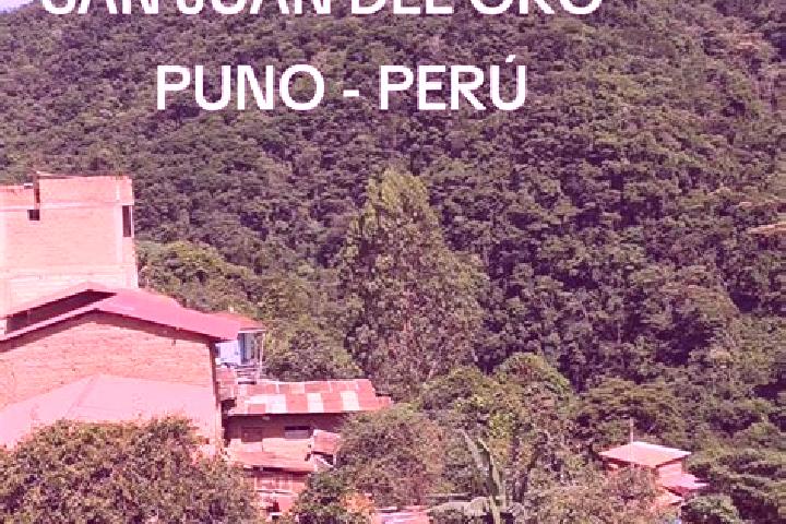 Ellie, 26 — Escort in San Juan del Oro, Peru