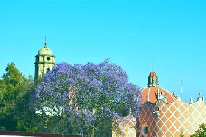Ellie, 28 — Escort in Tlahuac, Mexico