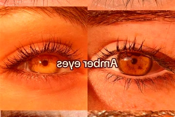 Ellie, 30, a chestnut amber-eyed slavic companion based in Gilze. Offering OWO, Overnight, Tantra, Massage. Available for incall and outcall, day and evening...