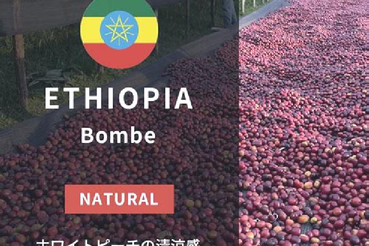 Ellie, 32 — Escort in Bombe, Ethiopia
