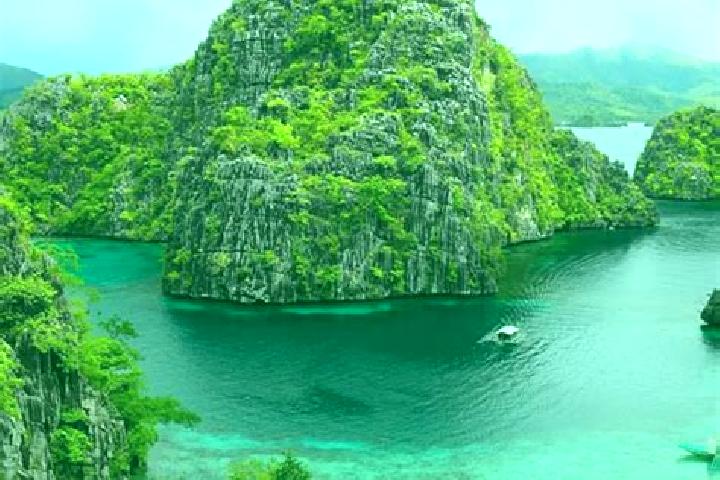 Ellie, 35 — Escort in Mauboh, Philippines