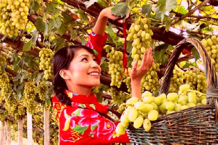 Ellie, 35 — Escort in Xuanhua, China
