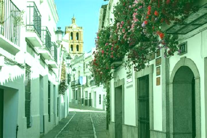 Ellie, 35 — Escort in Zafra, Spain
