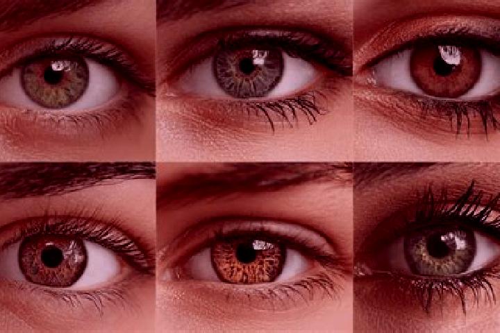 Ellie, 36, a red hazel-eyed european companion based in Chumikan. Offering Prostate Massage, CIM, A-Level, Duos, OWO. Available for incall and outcall, day a...