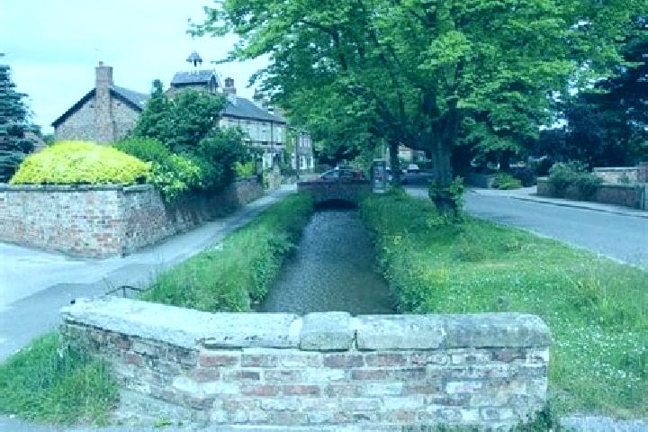 Ellie, 36 — Escort in Bishop Monkton, United Kingdom